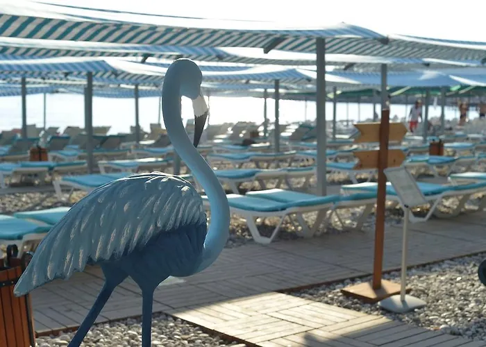 ホテル L'ancora 4*