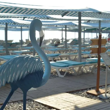 Ξενοδοχείο L'ancora 4*